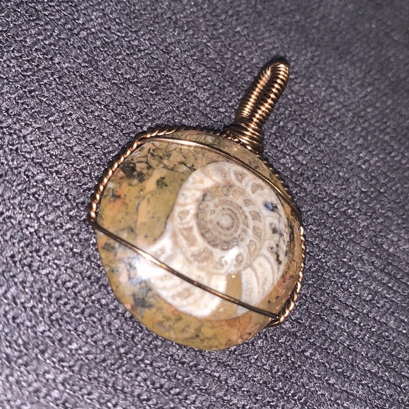 Handmade ammonite fossil wire wrapped wearable art pendant for necklace unisex - Picture 13 of 13